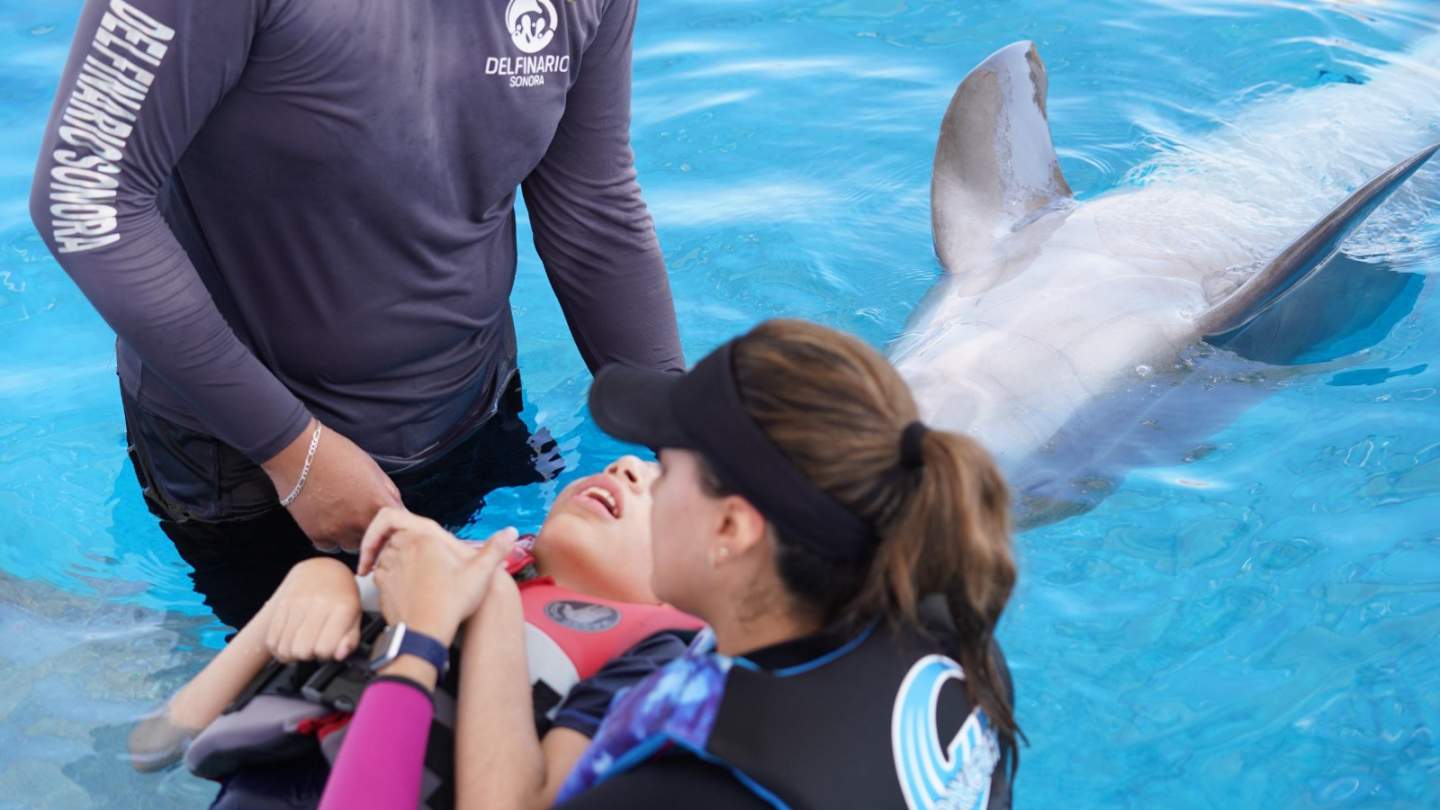 Gobierno de Sonora inicia registro para terapias asistidas con delfines